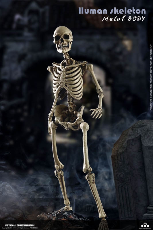 The Human Skeleton - Diecast Alloy - CM Toys 1/6 Scale Figure