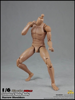 2.0 Standard Male Body 9.8-inch version - COO Model