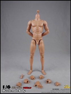 2.0 Muscular Male Body 10.6-inch version - COO Model