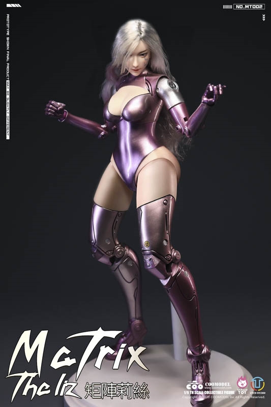 The Liz Prototype - Battle Angel - COO Model 1/6 Scale Figure