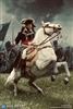 Warhorse for Napoleon  - DiD 1/6 Scale Figure