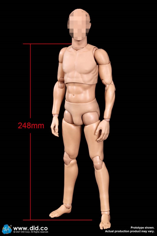 All New Advanced Body - Slim Version - DiD 1/6 Scale Figure