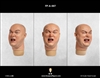 Caucasian Male Head Sculpt with Expression - Facepool 1/6 Scale Accessory