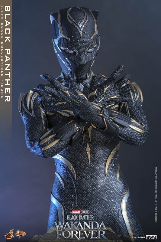 Preorder ! Hot toys MMS675 Black Panther Wakanda Forever : Black Panth –  Pop Collectibles