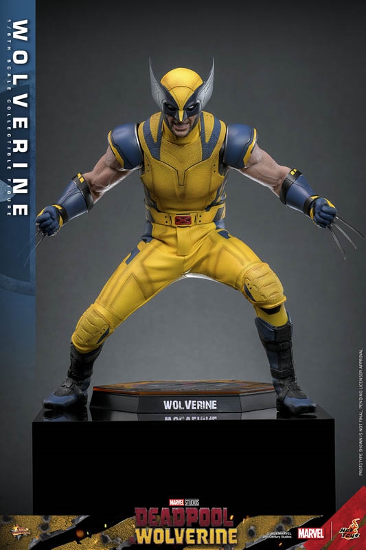 Wolverine - Deadpool and Wolverine- Hot Toys MMS753 1/6 Scale Figure