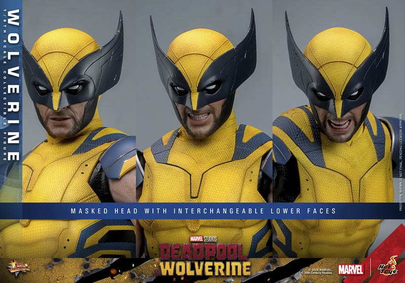 Wolverine - Deadpool and Wolverine- Hot Toys MMS753 1/6 Scale Figure