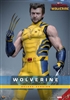 Wolverine Deluxe Version - Deadpool and Wolverine- Hot Toys MMS754 1/6 Scale Figure