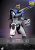 Arc Trooper Echo - Star Wars: The Clone Wars - Hot Toys TMS133  1/6 Scale Figure