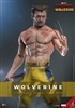 Wolverine (Jacket Version) - Deadpool & Wolverine - Hot Toys MMS756 1/6 Scale Figure