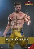 Wolverine (Jacket Version) - Deadpool & Wolverine - Hot Toys MMS756 1/6 Scale Figure