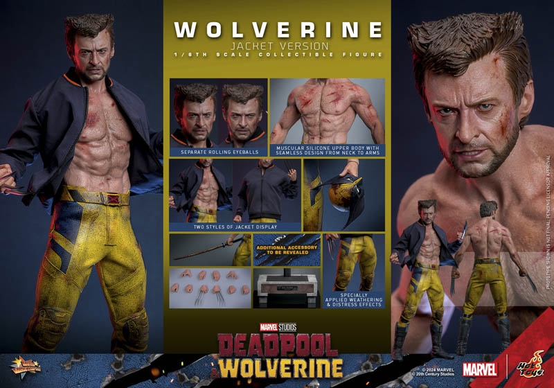 Wolverine (Jacket Version) - Deadpool & Wolverine - Hot Toys MMS756 1/6 ...