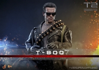 T-800 (2.0) - Terminator 2: Judgement Day - Hot Toys TMS153 1/6 Scale Figure