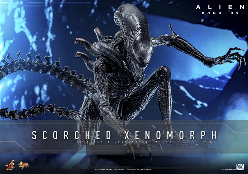 Scorched Xenomorph - Alien Romulus - Hot Toys MMS784 1/6 Scale Figure