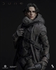 Paul Atreides - Standard Version  (Sculpted Hair) - Inart 1/6 Scale Figure