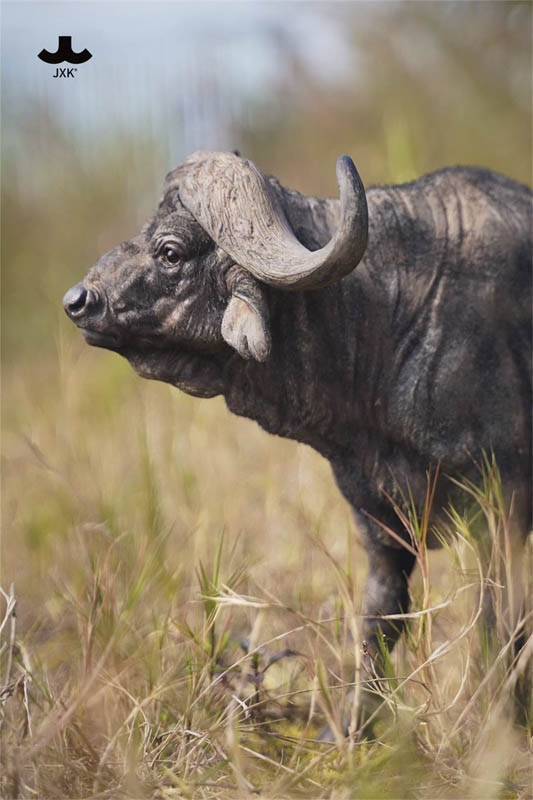 African Buffalo - JXK 1/6 Scale Figure