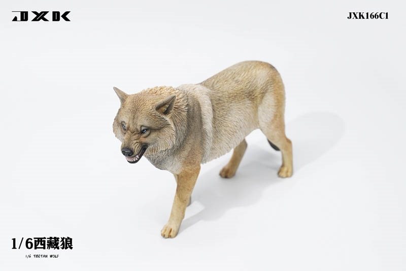 Tibetan Wolf - Version C without Pack - JXK 1/6 Scale Figure Accessory