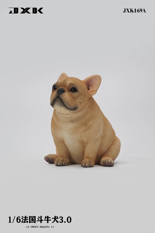 French Bulldog 3.0 - Version A - JXK 1/6 Scale Figure Accessory