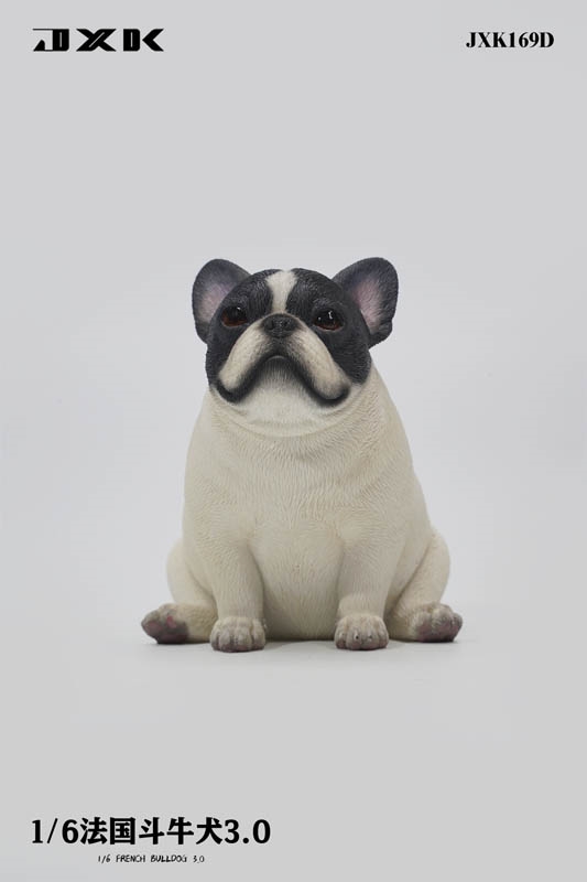 French Bulldog 3.0 - Version D - JXK 1/6 Scale Figure Accessory