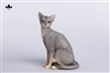 Abyssinian Cat Figurine Version A - JXK Studio 1/6 Scale Figure