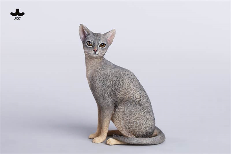 Abyssinian Cat Figurine Version A - JXK Studio 1/6 Scale Figure