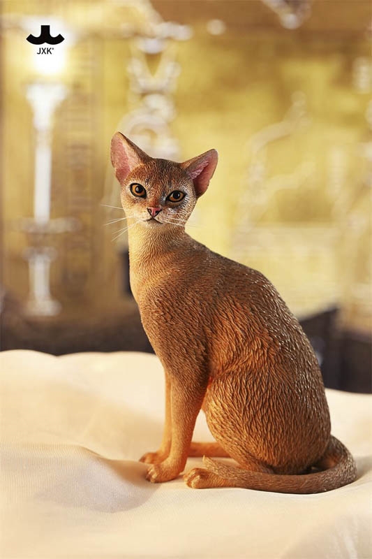 Abyssinian Cat Figurine Version B - JXK Studio 1/6 Scale Figure