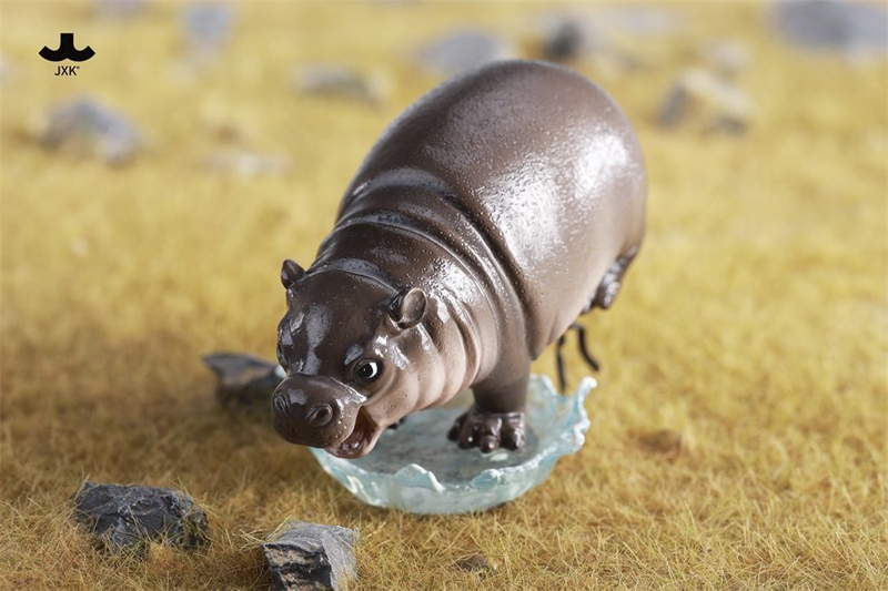 Moo Deng Baby Hippo 4.0 - JXK Studio 1/6 Scale Figure