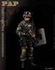 People's Armed Police - KAD Hobby 1/6 Scale Figure