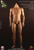 Athletik Male Body (Headless)