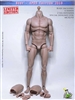 Athletik Male Body (Pale Skintone)  - Kaustic Plastik 1/6 Scale Accessory