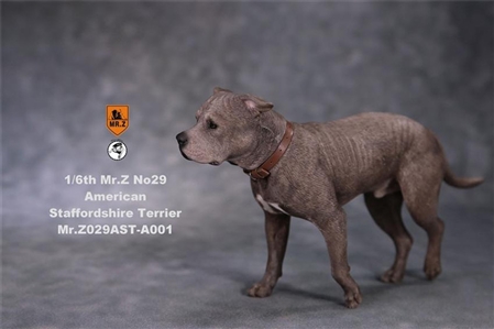 American Staffordshire Terrier - Version 001 - Mr Z 1/6 Scale Accessory