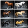 Horse - Six Versions - No Saddle - Mr. Z 1/6 Scale Animal Mode