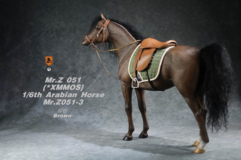 mr z model horse