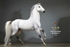 Duweime Horse - Version 4 - Mr. Z 1/6 Scale Model