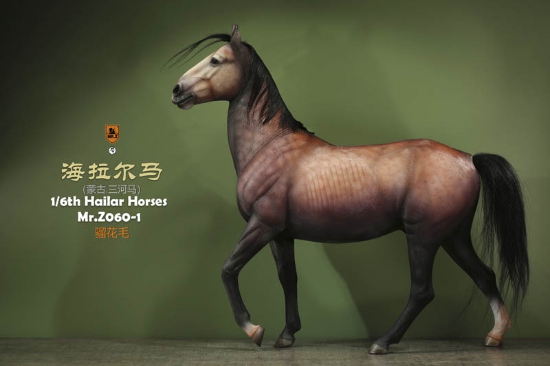 Hailar Horse - Version 1 - Mr. Z 1/6 Scale Model