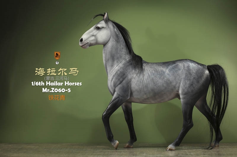 Hailar Horse - Version 5 - Mr. Z 1/6 Scale Model