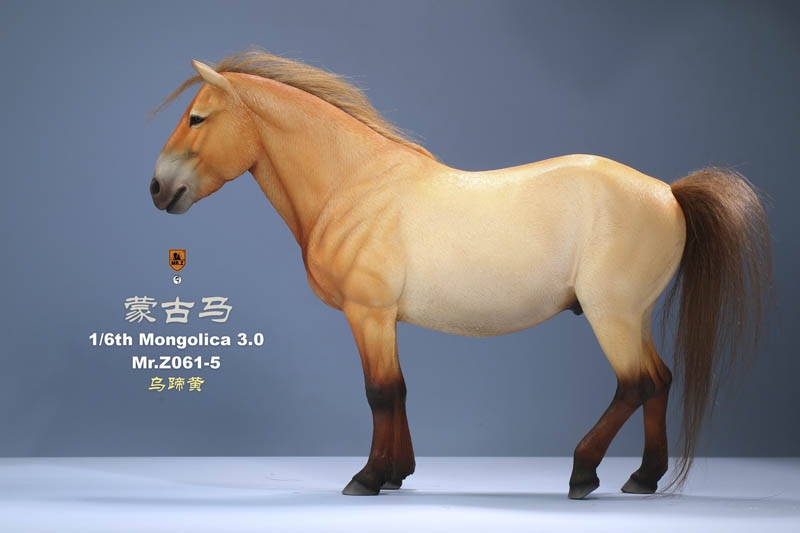 Mongolica Model Horse 3.0 No 61 Version 5 - Mr Z 1/6 Scale Figure