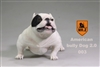 American Bully Dog 2.0 - Version 003 - Mr Z 1/6 Scale Accessory