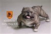 American Bully Dog 2.0 - Version 005 - Mr Z 1/6 Scale Accessory