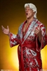 Ric Flair - Pop Culture Shock 1/4 Scale Statue