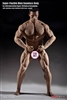 Super Flexible Male Seamless Body - M35 - Phicen/TBLeague 1/6 Scale Figure