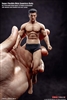 Super-flexible Male Seamless Body - Version 01A - 1/12 Scale Figure - TB League