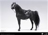 Horse for Mounted Police - Russian Police Force - Pop Toys 1/6 Scale Figure