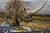 Elasmotherium Rhino (Brown Version) - Wonders of the Wild - Star Ace Vinyl Collectible