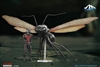 Ant-Onio - Black Version - Special Figure Collectible