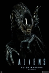 Alien Warrior Statue - Sideshow