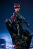 Catwoman - DC Comics - Sideshow Premium Format Figure