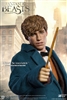 Newt Scamander - Fantastic Beasts - Star Ace 1/6 Scale Figure