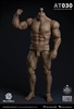 Durable Strong Body - World Box 1/6 Scale Figure