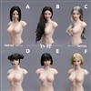 Youli  Head Sculpture - Six Versions - YM Toys 1/6 Scale Accessory Set